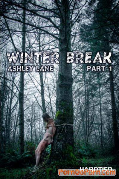 Ashley Lane starring in Winter Break: Part 1 - HardTied (HD 720p)