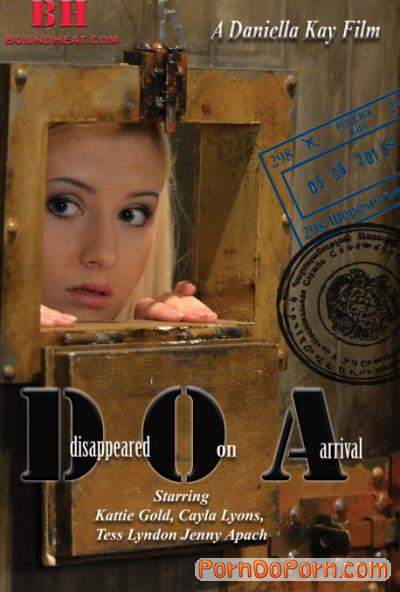 Cayla Lyons, Jenny Apach, Kattie Gold, Tess Lyndon starring in Disappeared On Arrival - Boundheat (HD 720p)