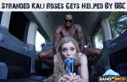 Kali Roses starring in Stranded Kali Roses Gets Helped By BBC - MonstersofCock, BangBros (HD 720p)