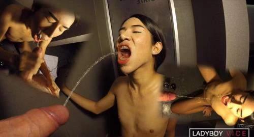 Kwan starring in Braces CIM & Mouth Pissing - LadyboyVice (HD 720p)