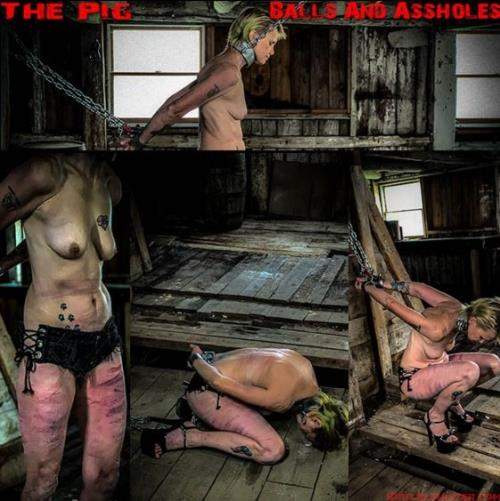 The Pig balls and ass holes - BrutalMaster (FullHD 1080p)