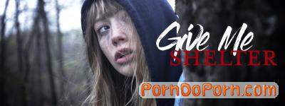 Ivy Wolfe starring in Give Me Shelter - MissaX (FullHD 1080p)
