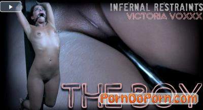 Victoria Voxxx starring in The Boy - InfernalRestraints (SD 480p)