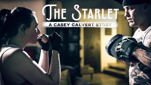Casey Calvert starring in The Starlet: A Casey Calvert Story - PureTaboo (HD 720p)