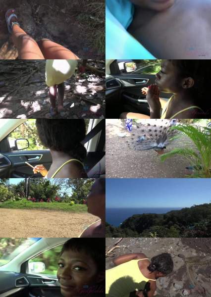 Noemie Bilas starring in Virtual Vacation Big Island 10-14 - ATKGirlfriends (FullHD 1080p)