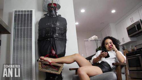 An Li starring in Human Furniture for a Day - Clips4sale (FullHD 1080p)