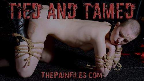 Tied And Tamed - ThePainFiles (FullHD 1080p)