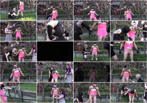 Crossdressing - Happy Spring - Outdoor Sissy Cbt Moresome - Blossom Blessing - AliceInSissyLand (SD 480p)