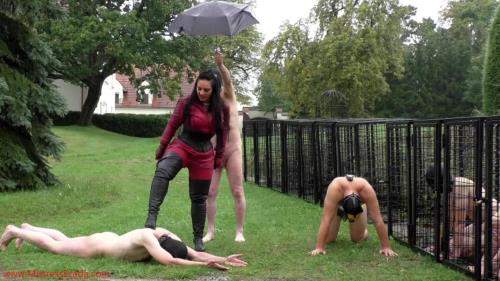 Brutal Whipping On A Cold Rainy Day - MistressEzadaSinn (FullHD 1080p)