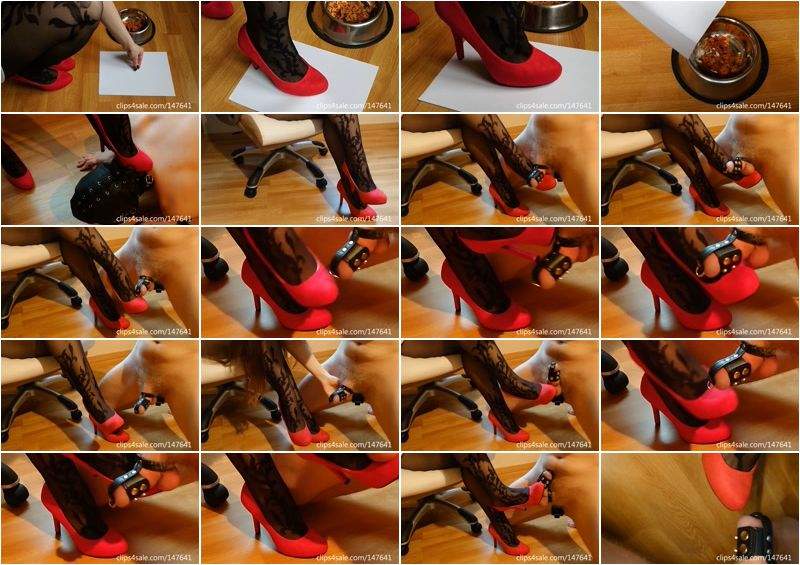 Mistress Ry starring in I Put Viagra In My Servants Food And Teasing My Chastity Cuckold Servant - Clips4sale (HD 720p)