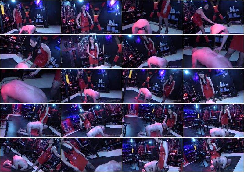 Lady Bellatrix starring in Strapped, Scratched And Bitch Slapped - Clips4sale (HD 720p)