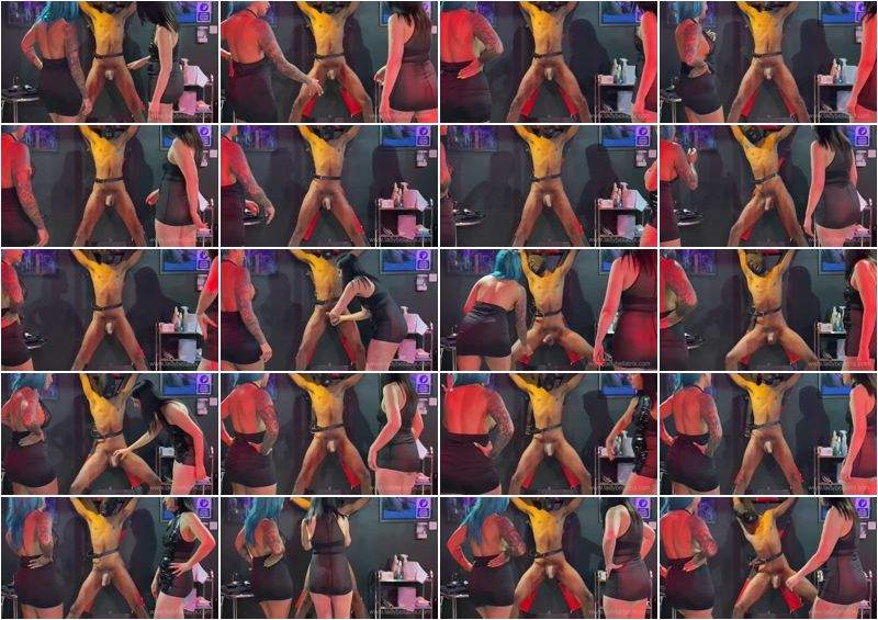 Lady Bellatrix, Goddess Penelope starring in He Deserved A Double Ballbusting - Clips4sale (HD 720p)