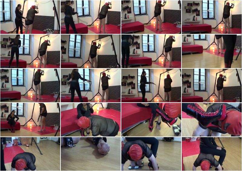 Mistress Roberta starring in Bullwhipping Your Sorry Ass Part II - Clips4sale (SD 384p)