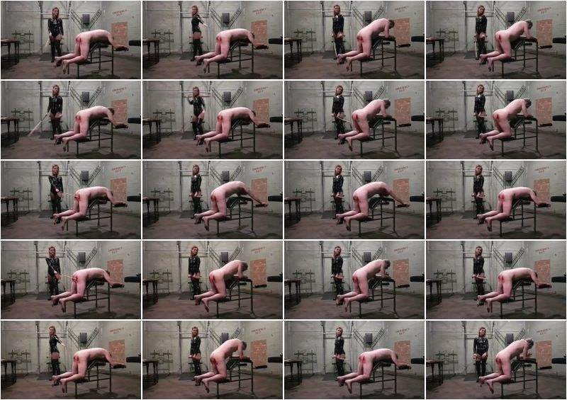 Dea Dhelia starring in Golden Prison Dragon Correctional Punishment Ft. Cp - Clips4sale (FullHD 1080p)