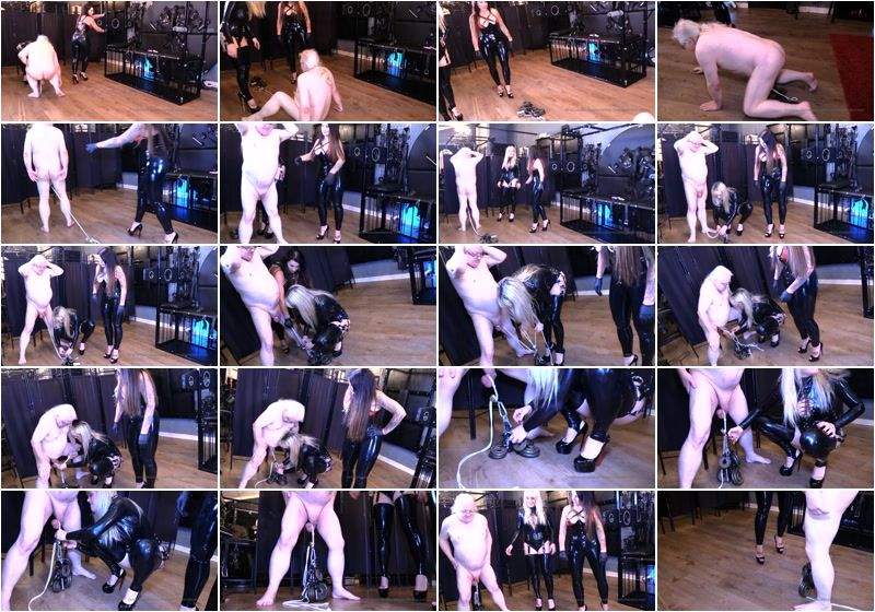 Mistress Tess starring in How Strong Are Your Balls Part 2 - MistressAvaVonMedisin (SD 480p)