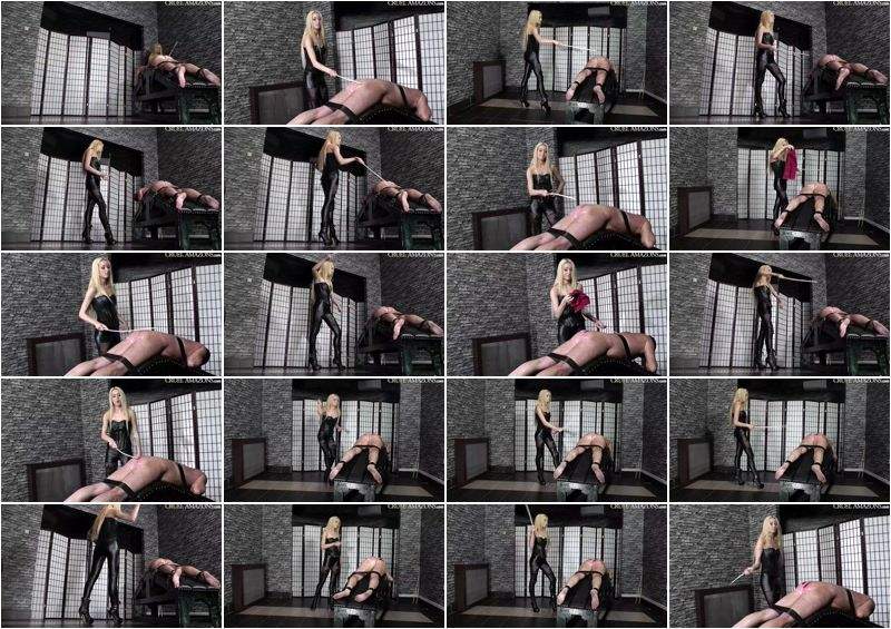 Ariels Famous Strokes - Clips4sale (FullHD 1080p)