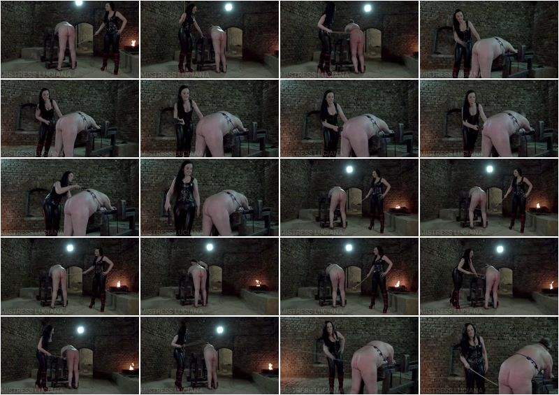 Brandnew  The Loser Gets Something On His Ass - MistressLuciana (FullHD 1080p)