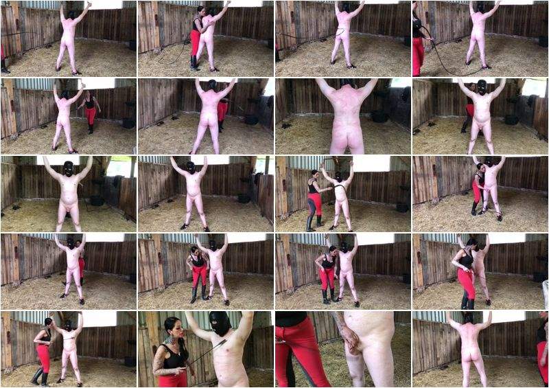 Punishment At The Horsestable - Clips4sale (FullHD 1080p)