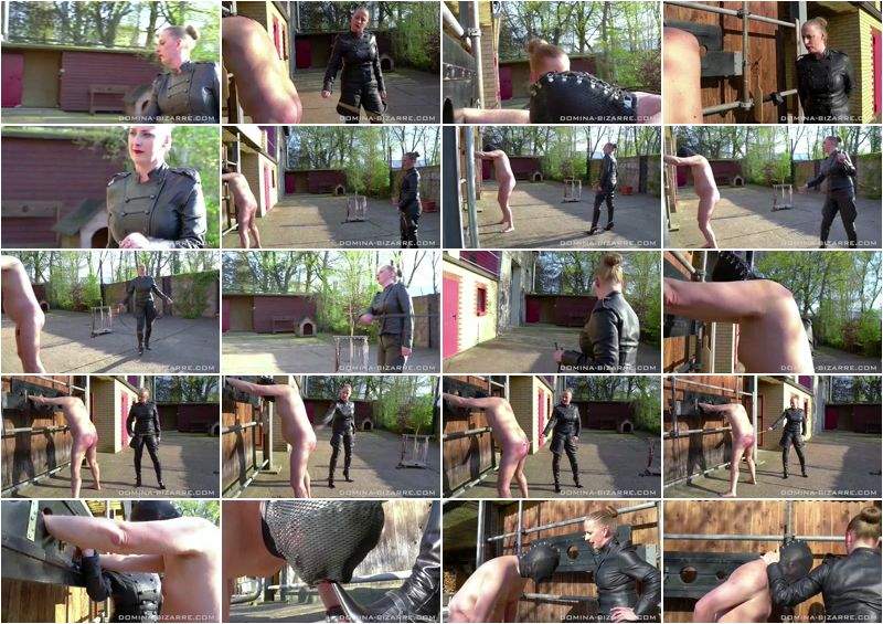 Lady Stella starring in Short And Painful, Part 2 - DominaBizarre (FullHD 1080p)