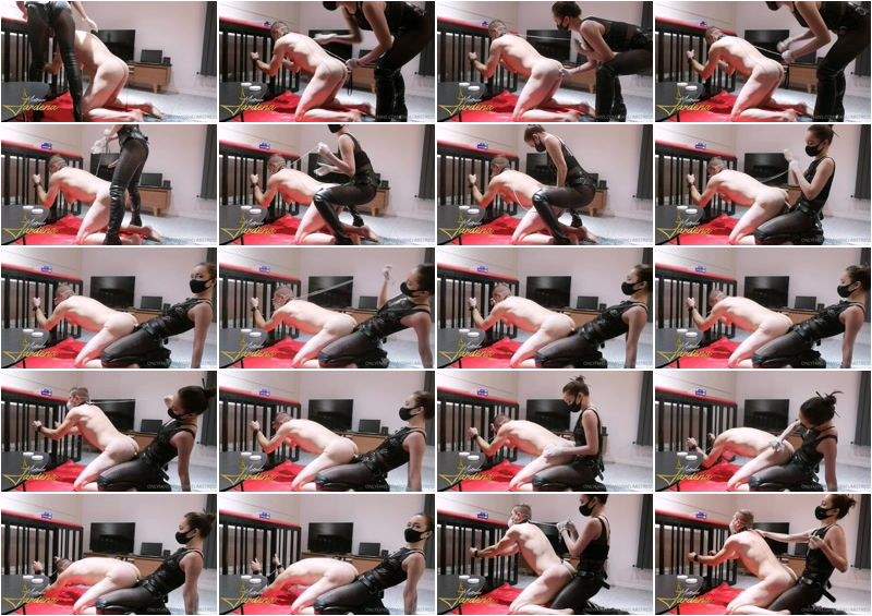 Very Interested About My Dildos And Cage In My Apartment - MistressJardena (HD 720p)