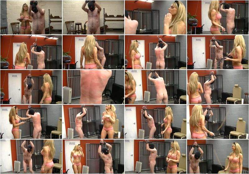 Count The Thrashes Bitch - Clips4sale (SD 480p)