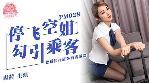 Luo Jinxuan starring in Grounded flight attendants seduce passengers to lure fellow travelers to have sex in hotels [PM028] [uncen] - Peach Media (HD 720p)