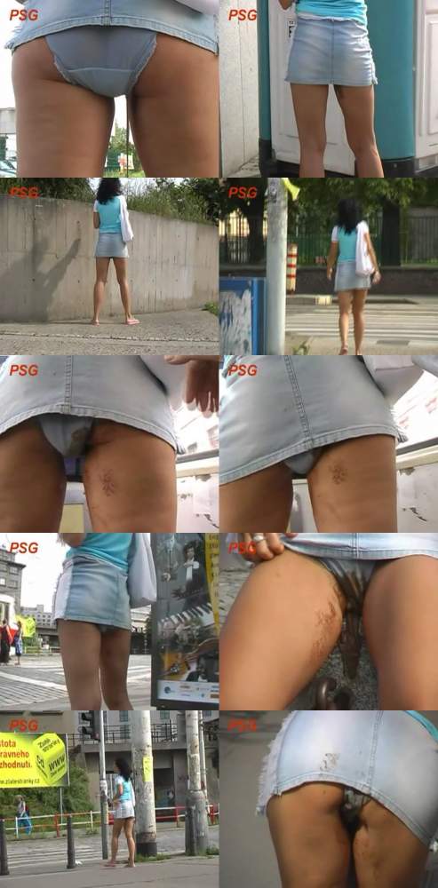 Sharka Walking 17 - Shitgirl-in-public (SD 480p / Scat)