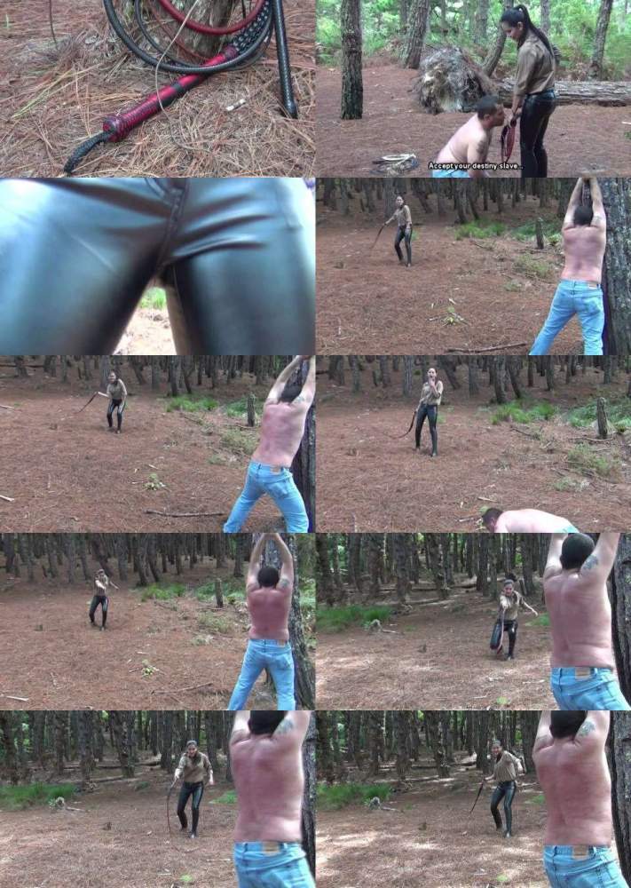 The Zenith Bullwhip 3 - GeraldHrfan (HD 720p)