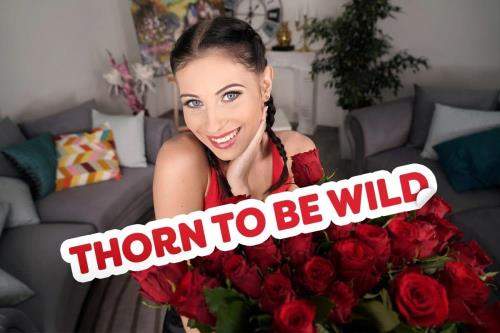 Lilly Bella starring in Thorn to Be Wild - 18VR (UltraHD 4K 3584p / 3D / VR)