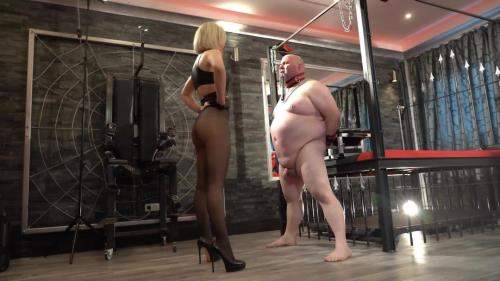 Baroness starring in Femdom Mistress Ballbusting: Ep. 325 - Clips4sale (FullHD 1080p)