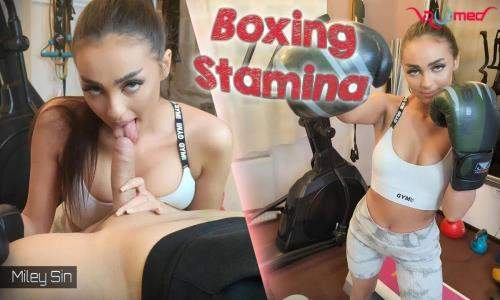 Miley Sin starring in Boxing Stamina - SLR, VRoomed (UltraHD 4K 3072p / 3D / VR)