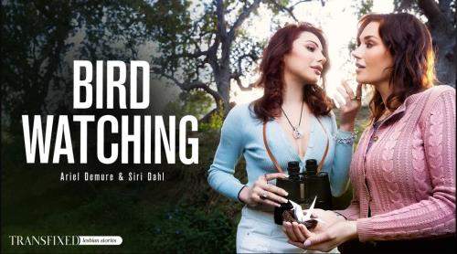 Siri Dahl, Ariel Demure starring in Bird Watching - Transfixed, AdultTime (SD 544p)