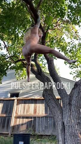 PulsiferPaprocki starring in Hanging Tree Poop - ScatShop (UltraHD 2K 1920p / Scat)