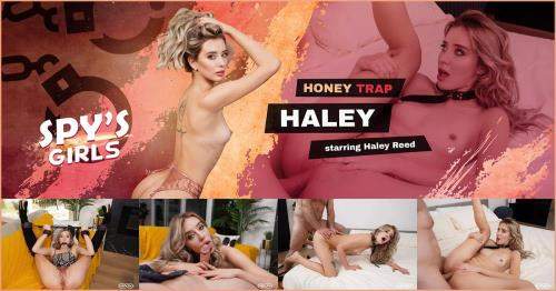 Haley Reed starring in Honey Trap Haley - VRSpy (UltraHD 4K 4000p / 3D / VR)