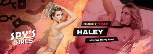 Haley Reed starring in Honey Trap Haley - VRSpy (UltraHD 2K 1920p / 3D / VR)