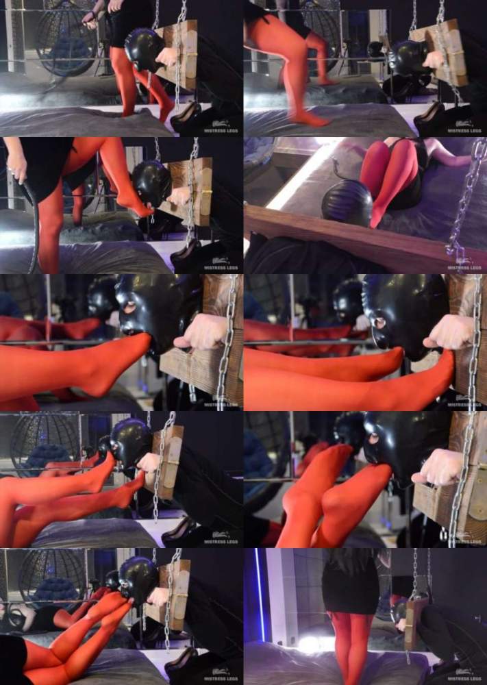 Mistress Legs starring in Shackled Slave Worships Mistress Red Nylon Legs (FullHD 1080p)