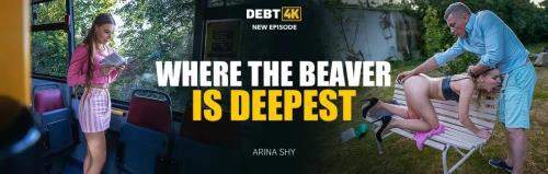 Arina Shy starring in Where the Beaver is Deepest - Debt4k, Vip4K (SD 540p)